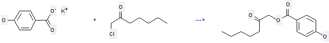 Benzoic acid,4-hydroxy-, potassium salt (1:1) can be used to produce 4-Hydroxybenzoesaeure-2-oxoheptylester by heating